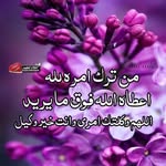Abdo Halawa Abo Eiad - @abo_halawa2016 - Instagram