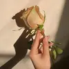 abdo_hasan - @ro.ro__2005 - TikTok