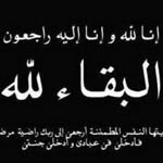 Abdo Hashem - @abdohashem905 - Instagram