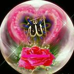 abdollah morshed - @abdollahmorshed - Instagram