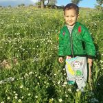 abdolreza - @abdolreza.morshedi44 - Instagram