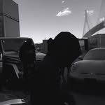 abdool__majeed - @abdooul__majeed - Instagram