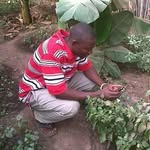 Abdou colley - @abdoucolley - Instagram