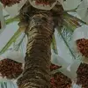 Abdou Fall - @abdou.fall5389 - TikTok