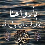 Reda Abdou Kamel - @redaabdou121 - Instagram