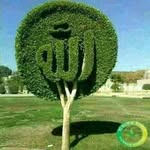 Abdoul Kouanda - @abdoul.kouanda.90 - Instagram