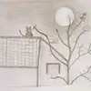 abdou Seye - @abdou.seye49 - TikTok