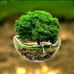 Abdou Sidibe  - Facebook
