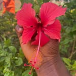 balde - @abdoul_balde - Instagram