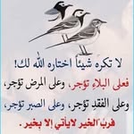 Abdoul Jallow - @abdoul7877 - Instagram