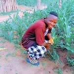 Abdoul Kamara - @abdoulkamara331 - Instagram