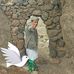 Abdu Ali - Facebook