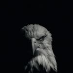 Abdul Abdullahi - @abdul_manje_ - Instagram