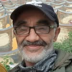 Abdul Amine - @abdu.amine - Instagram
