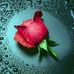 Abdul Wajid Amini - Facebook