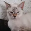 andyabdulandrade - @andyabdulandrade - TikTok