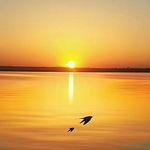 Abdul_antar - @abdul_anta - Instagram