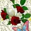 Abdul Hameed Askari - @www.billa886 - TikTok