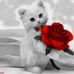 Abdul Kassym Al-Assad Kasinki - Facebook