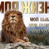 Абдулатиф - @abdulatif.1990 - TikTok