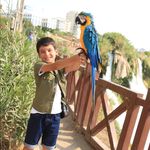 Abdulatif - @abdulatif976 - Instagram