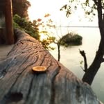Abdul Badat - @abdul.badat.77 - Instagram
