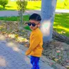 Abdul bare - @user162951168 - TikTok