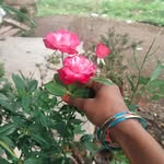 abdulbash . - @abdulbash29 - Instagram