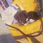 Abdul Beg - @abdul.beg.967 - Instagram