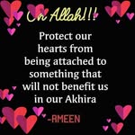 Abdul Ebrahim - @autocure1998 - Instagram