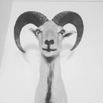 abdul ghulam - @benzackre - Instagram