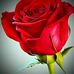 Abdul Hussain - Facebook