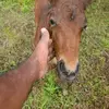 Abdul Imran - @abdul.imran21 - TikTok