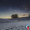 imranabdulle6 - @imran.abdulle - TikTok