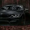 abdulmalikjacob51 - @abdulmalickjacobs - TikTok