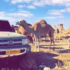 Abdulkhalaf - @abdulkhalaf37 - TikTok