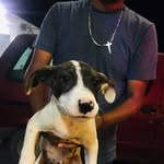 Abdul Leon - @abdul.leon.792 - Instagram