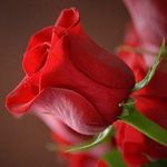 Abdulmadeen Kalsana - @abdulmadeenkalsana - Instagram