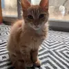 Abdul Mahmud - @abdul.mahmud8 - TikTok