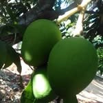 Abdul Majeeth - @abdul.majeeth.3576 - Instagram