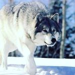 ✨Abdul Makda✨ - @m._._.abdul._._.n - Instagram