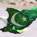 Abdul Rouf Mohammdi Malikyar - @mohammdimalikyar - Instagram