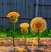 Abdul manik - Facebook