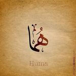 AbdulSalam Mansuri - @abdul_mansuri_ - Instagram