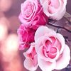 Abdul Mansury - @user90397223 - TikTok