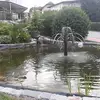 Abdul Masood - @abdul.masood33 - TikTok