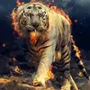 abdulmateem555 - @abdulmateem555 - TikTok