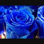 ❤️Maya_abdul💙 - @abdul_maya - Instagram