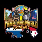 🇵🇦 Abdul mckenzie 🇵🇦 - @p.t.y.frenchies - Instagram