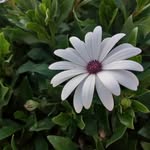 Abdul Ilah Al Melhem - @lmlhm771 - Instagram